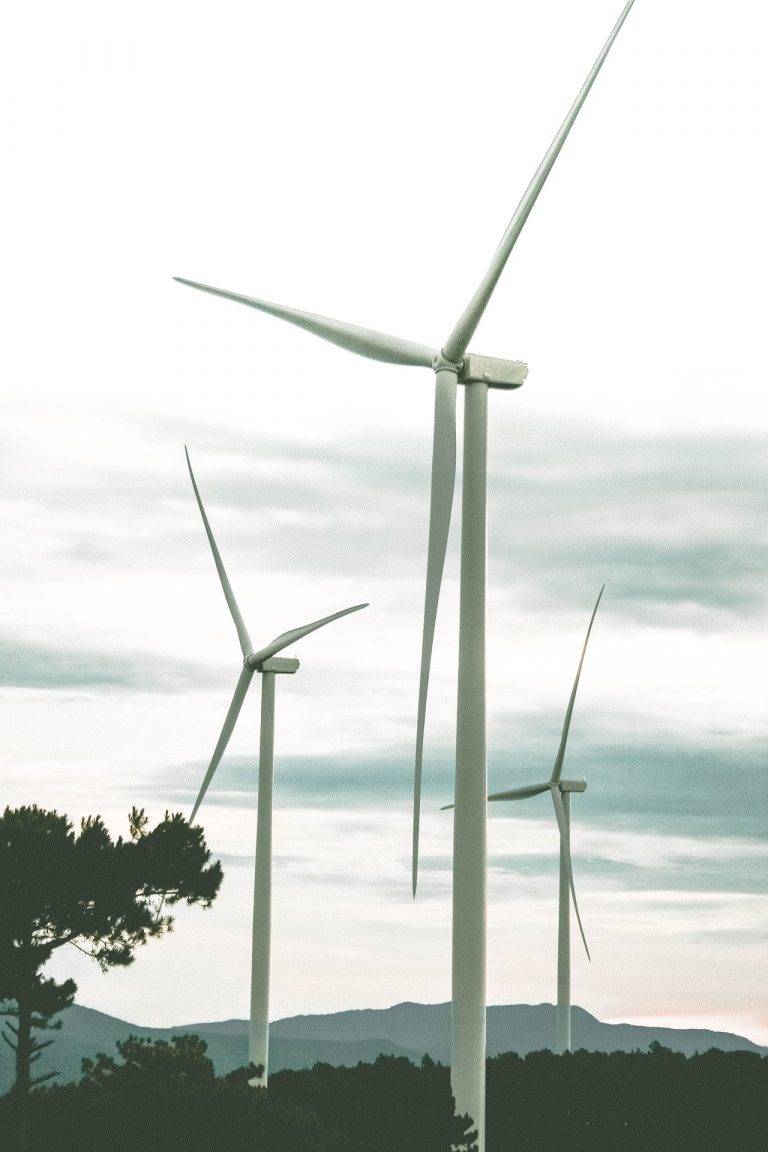 Windenergiegebiete im Südlichen Oberrhein: Neue Beteiligung startet