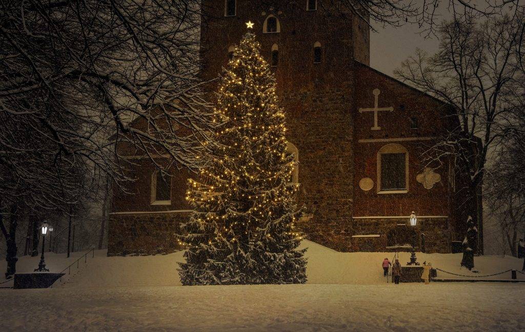 Weil am Rhein sucht große Bäume für Weihnachten
