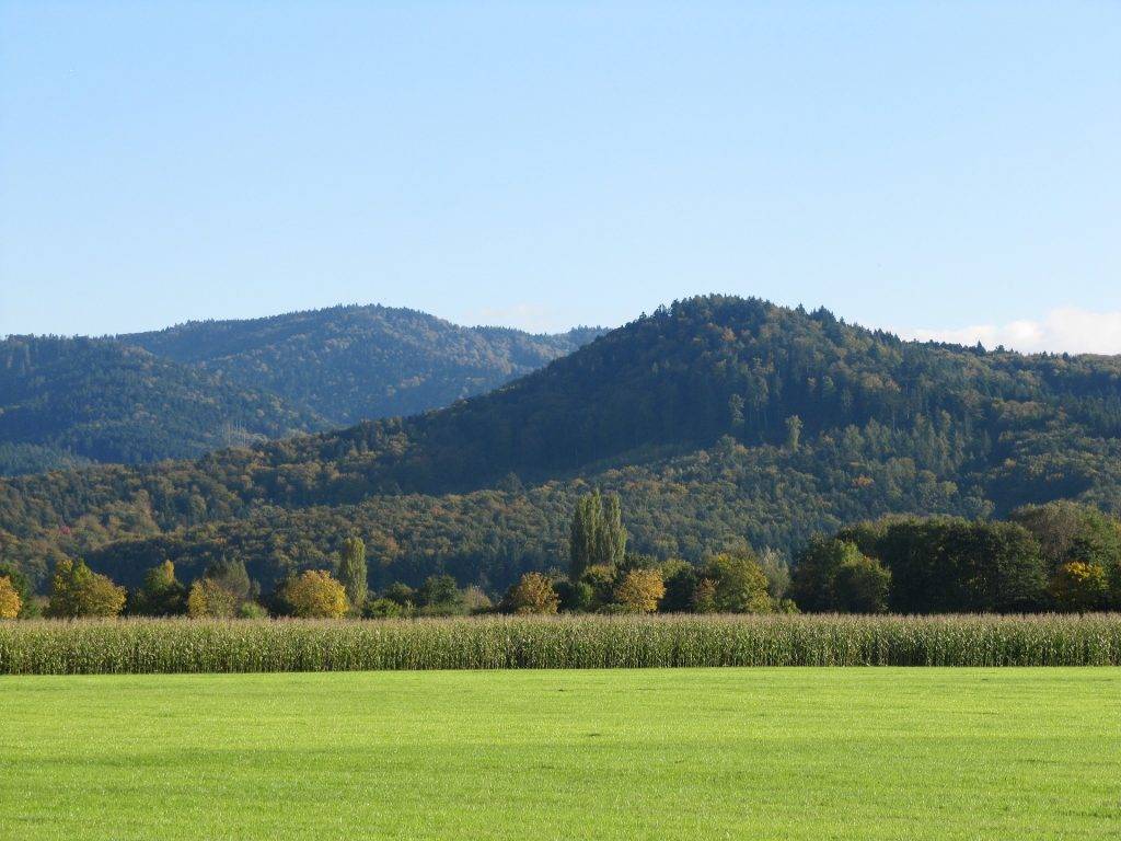 Denzlingen: Vortrag über Funde am Mauracher Berg