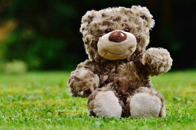 20 Jahre Teddybär-Krankenhaus der Uniklinik Freiburg – Teddybären untersuchen lassen von 12.-18. Mai