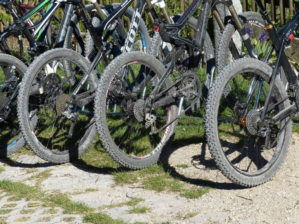 Titisee-Neustadt: Planung von Mountainbike-Trailcenter soll fortgesetzt werden