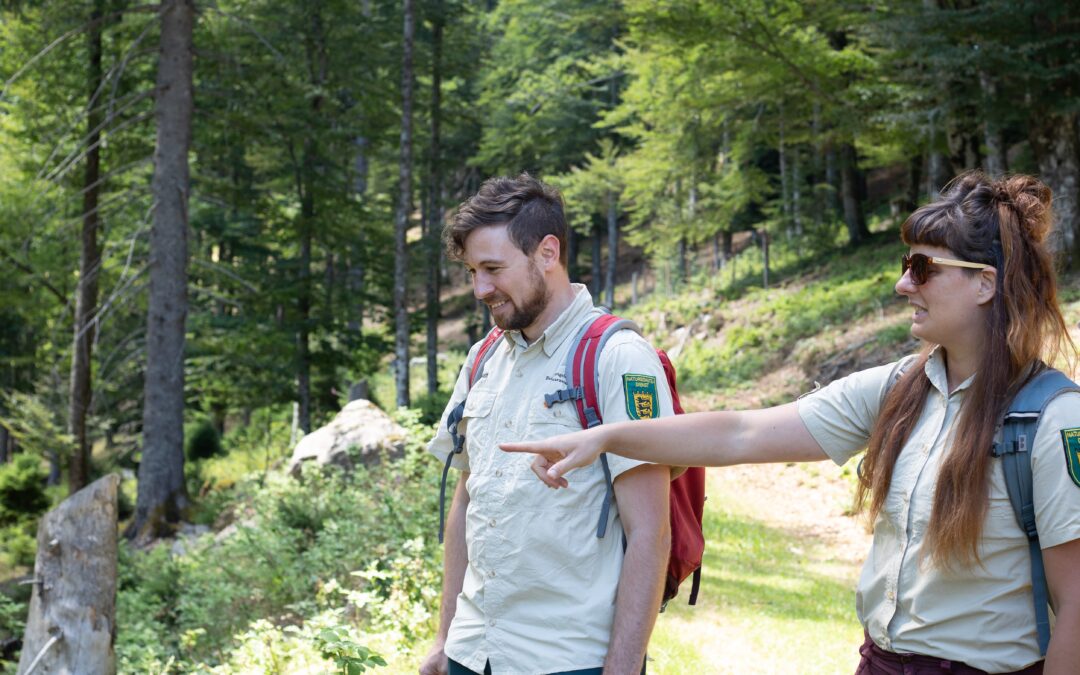 Ranger führen wieder durchs Biosphärengebiet Schwarzwald