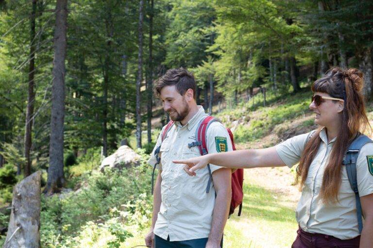 Ranger führen wieder durchs Biosphärengebiet Schwarzwald