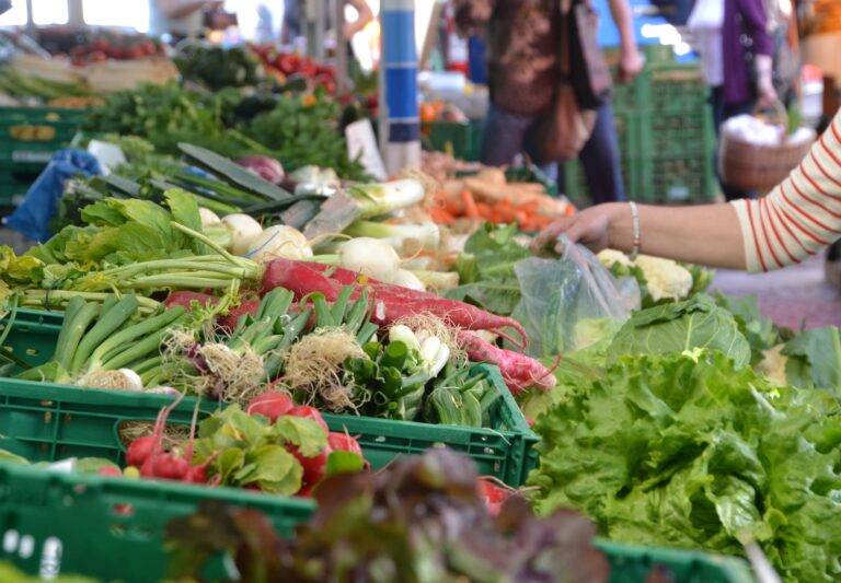 Freiburg: Marktfest auf dem Münsterplatz am 24. Mai