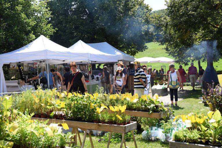 Breisach: DIGA Gartenmesse zeigt Blütenpracht ab 13. Juni