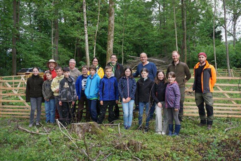 Vörstetten: Pfadfinder helfen beim Zaunbau im Wald