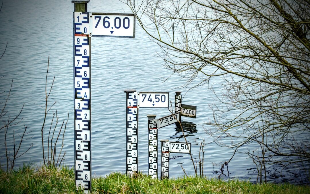 Gesunkene Pegelstände: Niedrigwasser im Landkreis Breisgau-Hochschwarzwald