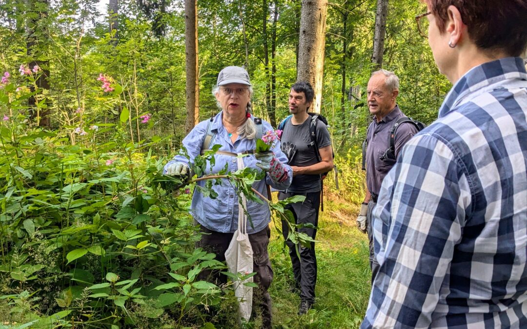 Anpacken & Poesie: Das Sommerprogramm im Naturpark Südschwarzwald