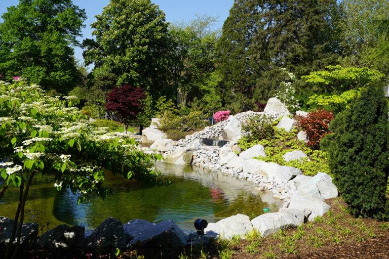 Bad Krozingen lädt zu Führungen in den Japanischen Garten ein