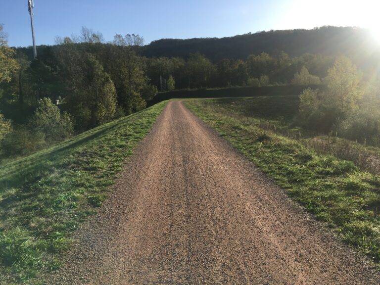 Randweg am Rhein bei Kleinkems wird gesperrt & verbreitert