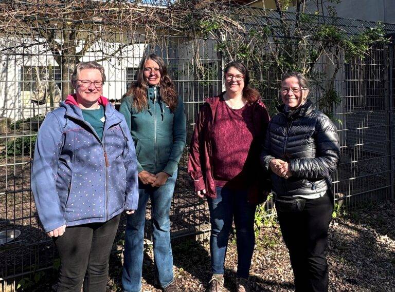 Tierheim Weil am Rhein braucht mehr Unterstützung