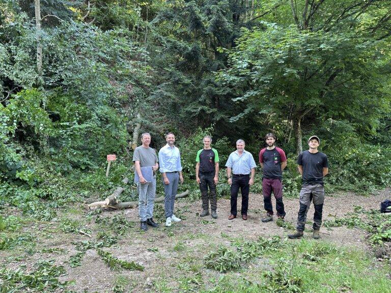 Waldkirch: Der Spielplatz in Suggental wird neu aufgebaut
