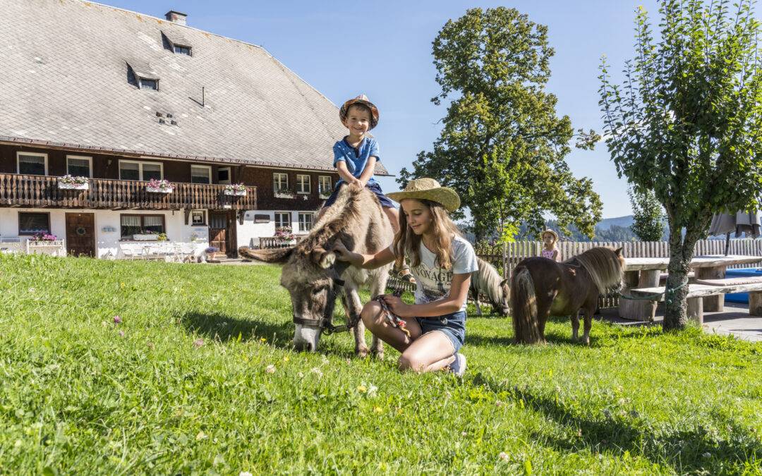 100 Familienaktionen in den Ferien im Hochschwarzwald