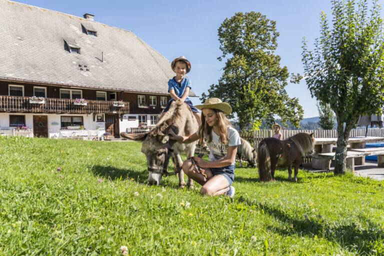 100 Familienaktionen in den Ferien im Hochschwarzwald
