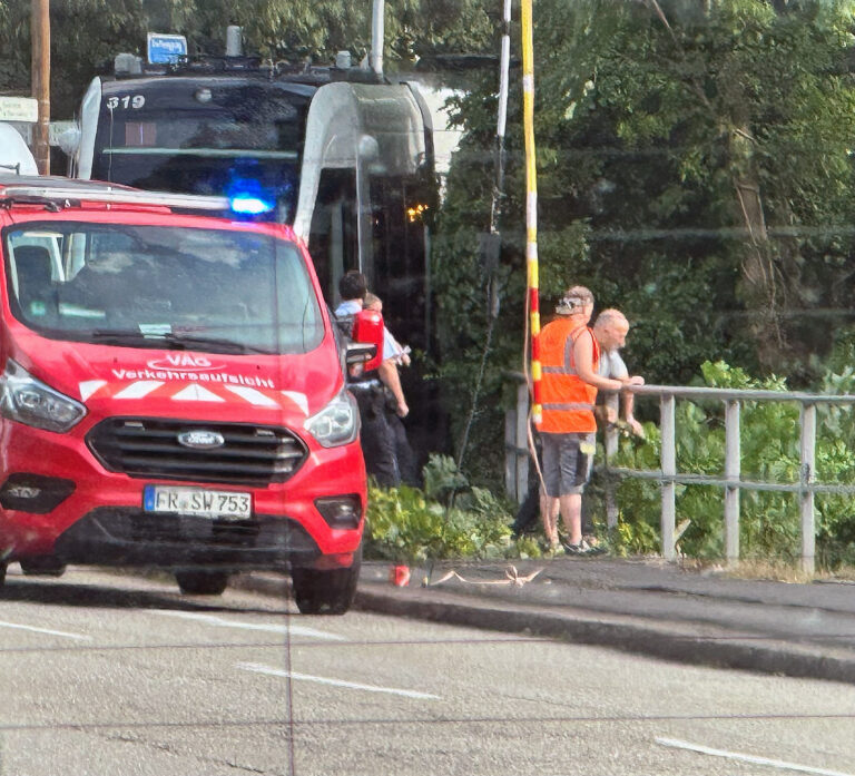 Unwetter-Einsätze: Bäume blockieren Straßen im Breisgau