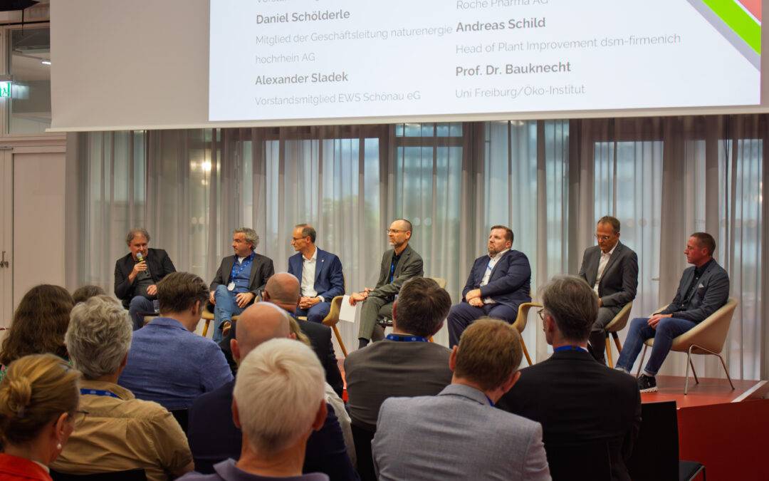 Grenzach-Wyhlen: Diskussion zu lokaler Stromversorgung der Zukunft