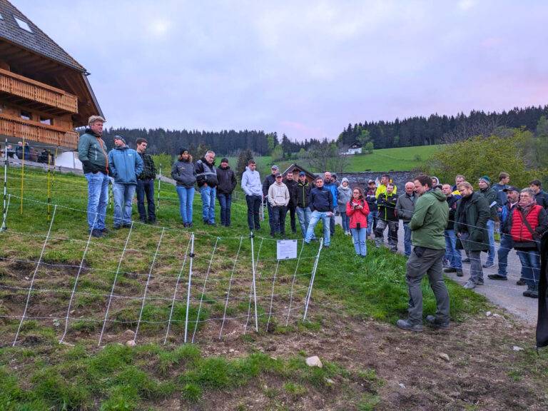 Weideabend in St. Märgen am 25. Juli: Technik für Herdenschutz