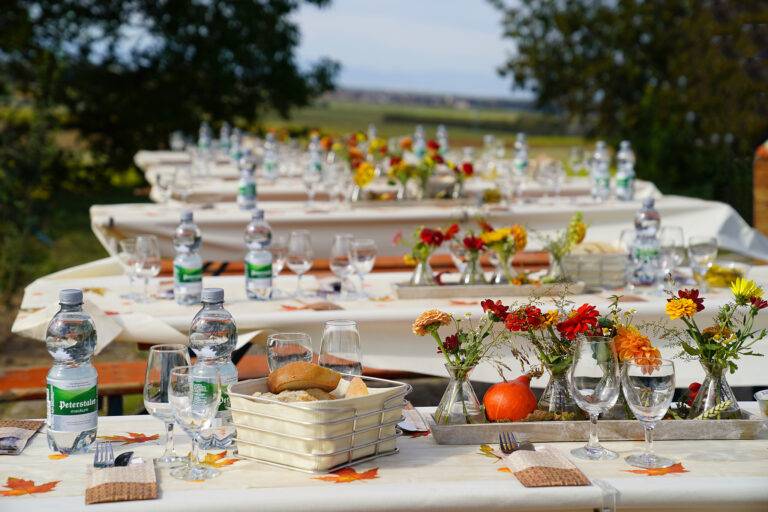 SummerWine 2025: Weinprobe auf dem Bad Krozinger Rebberg