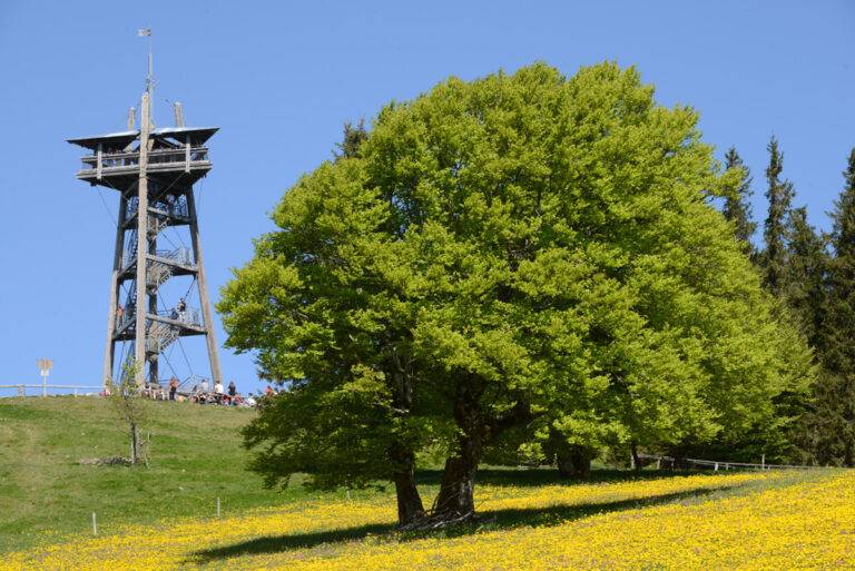Biosphärentag auf dem Schauinsland bei Freiburg am 11. Juli