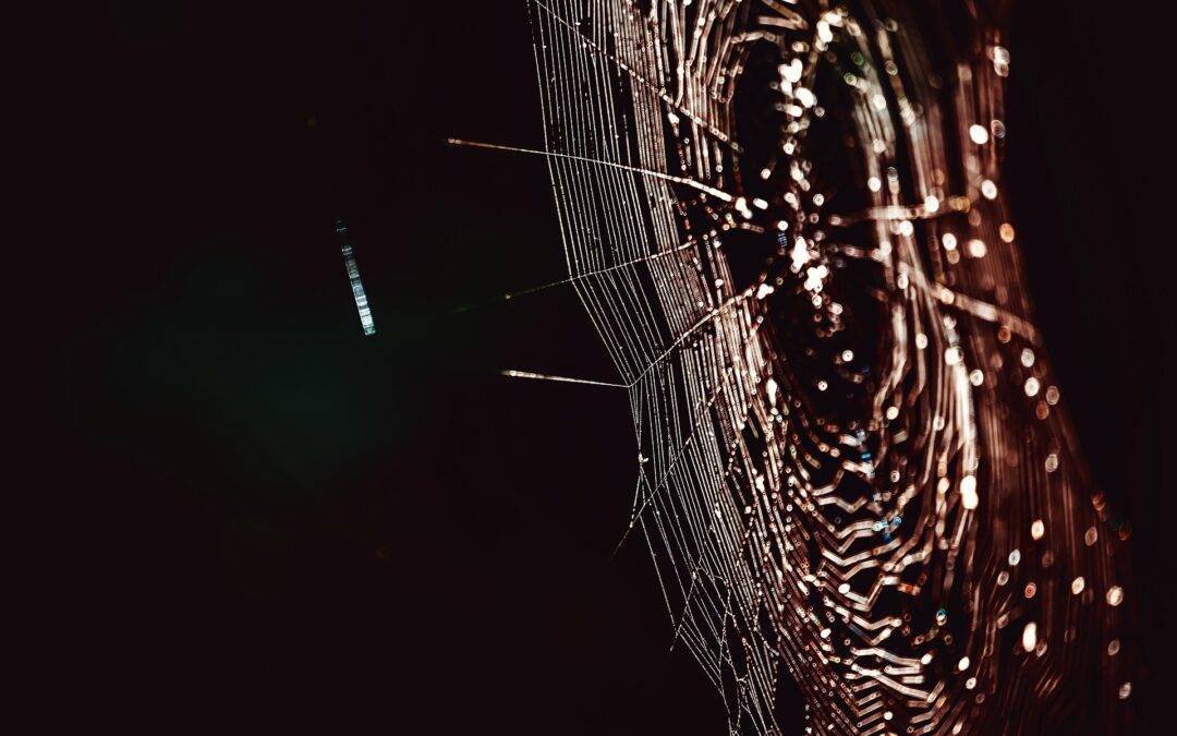 Spinne auf Oberschenkel löst Unfall in Rheinfelden aus