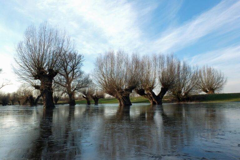 Lörrach baut Hochwasserschutz weiter aus