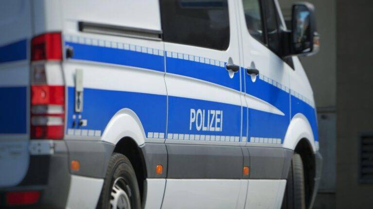 Istein: Jugendlicher läuft über Gleise & blockiert Zug