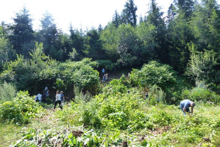 Spendenaktion bei Kulinarischen Wochen im Schwarzwald