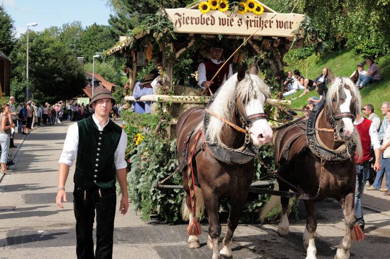 Roßfest St. Märgen feiert Schwarzwälder Kaltblut ab 12. September