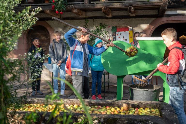 Apfeltage starten im Freilichtmuseum Vogtsbauernhof Gutach