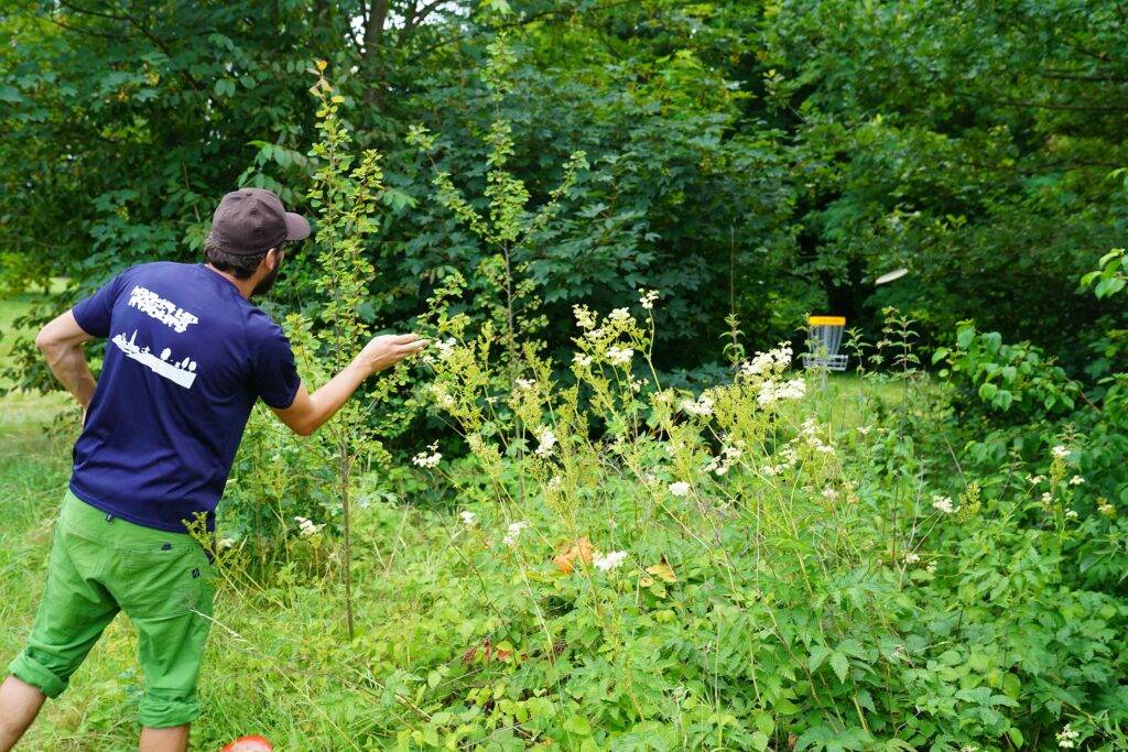 Disc Golf startet am 10. August im Kurpark Bad Krozingen