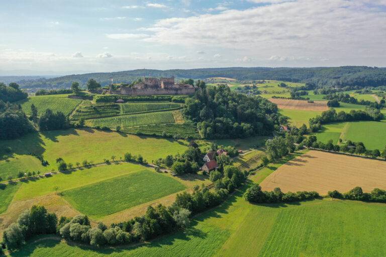 Emmendingen: Hochburg erstrahlt durch 3D-Modell virtuell im Glanz von 1620