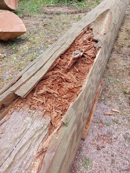 Eichbergturm: Rückbau in Emmendingen fast fertig