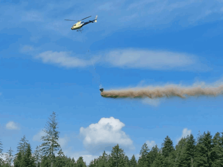 Bodenschutzkalkung in Löffingen & Eisenbach ab September