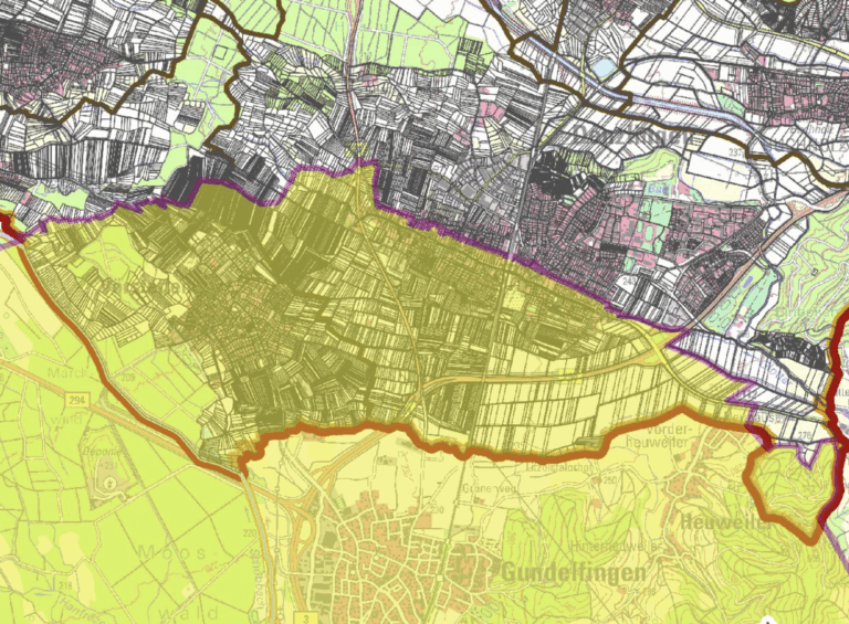 Japankäfer: Denzlingen & Vörstetten liegen in Pufferzone