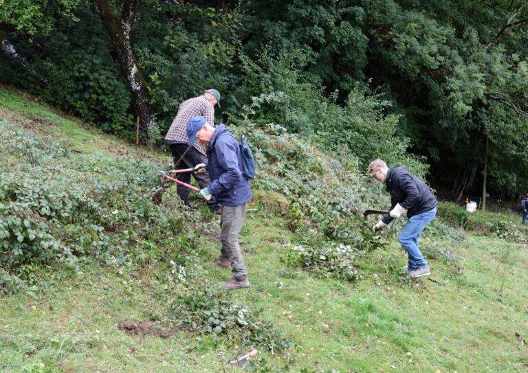 70 Helfer beim Landschaftspflegetag in Elzach-Yach dabei