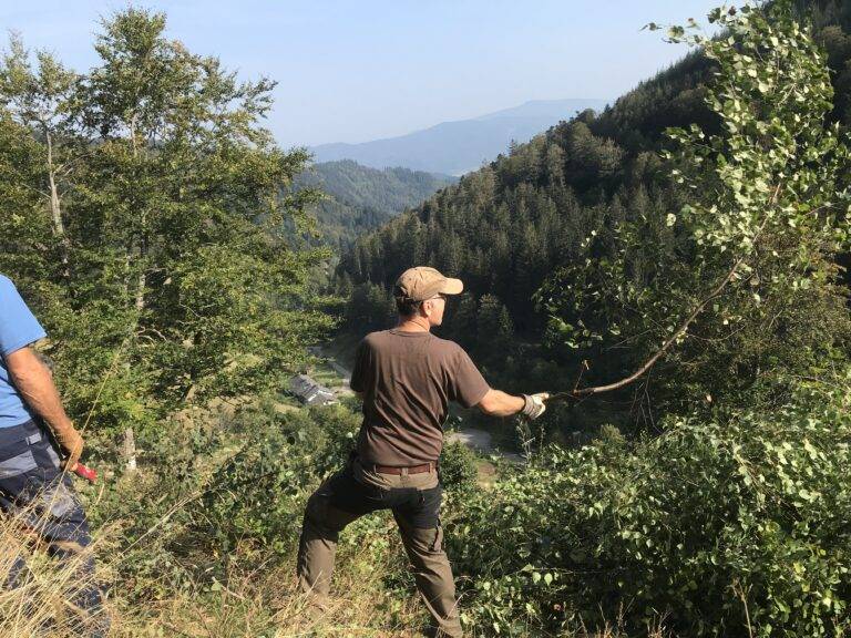 Landschaftspflegetag in Freiburg-Kappel am 20. September