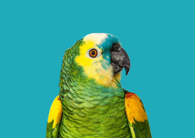 „Die Kriegsberichterstatterin“ im Kesselhaus Weil am Rhein