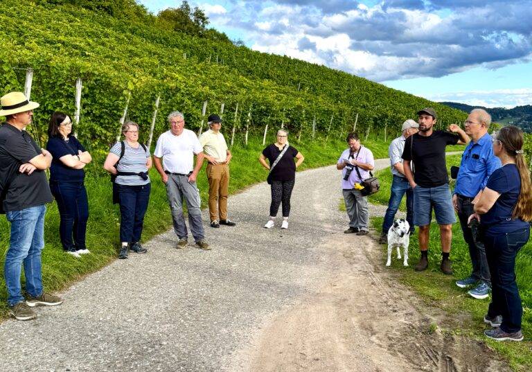 Rebbegehung am Tüllinger Berg: Winzer über Sorgen im Austausch