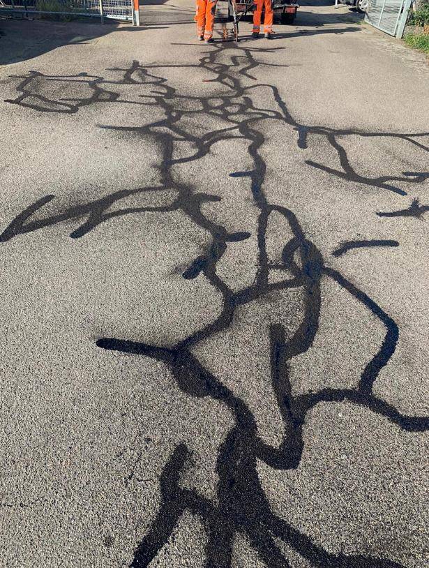 In Emmendingen werden Risse in der Straße ausgebessert