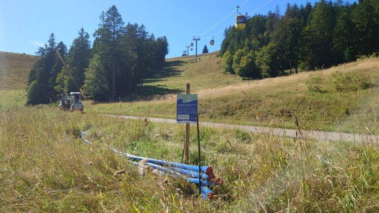 Schönau: Sanierung Tränkewasserleitung am Belchen startet