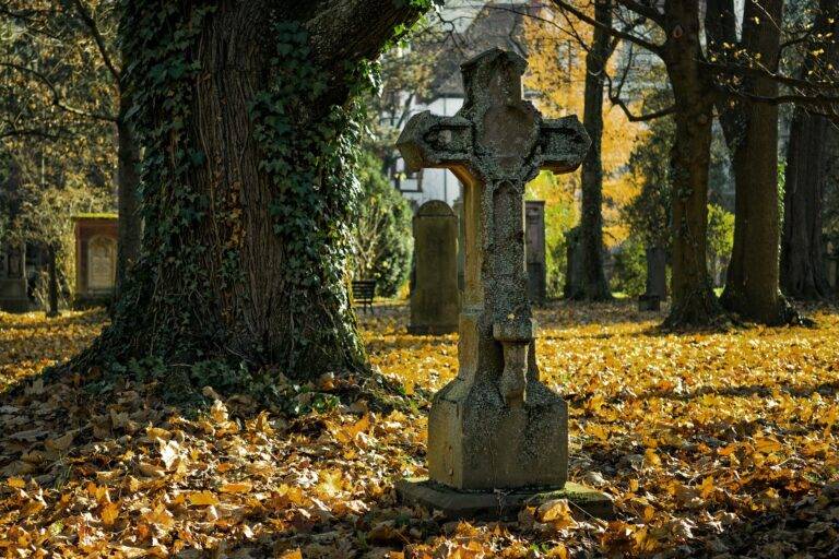 Sanierung am Bergfriedhof Emmendingen startet 15. September