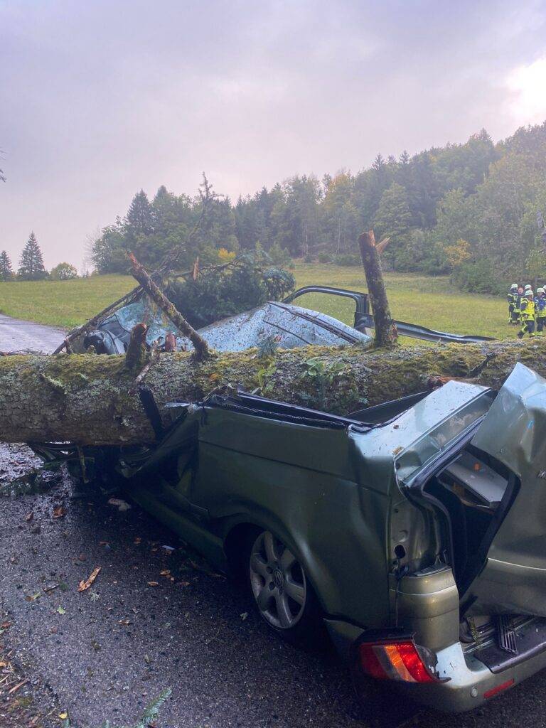 Sturm im Schwarzwald: Baum trifft Kleinbus in Dachsberg