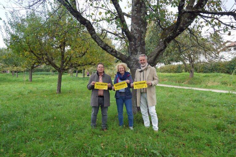 Rheinfelden startet Naschbaum-Projekt mit gelben Bändern