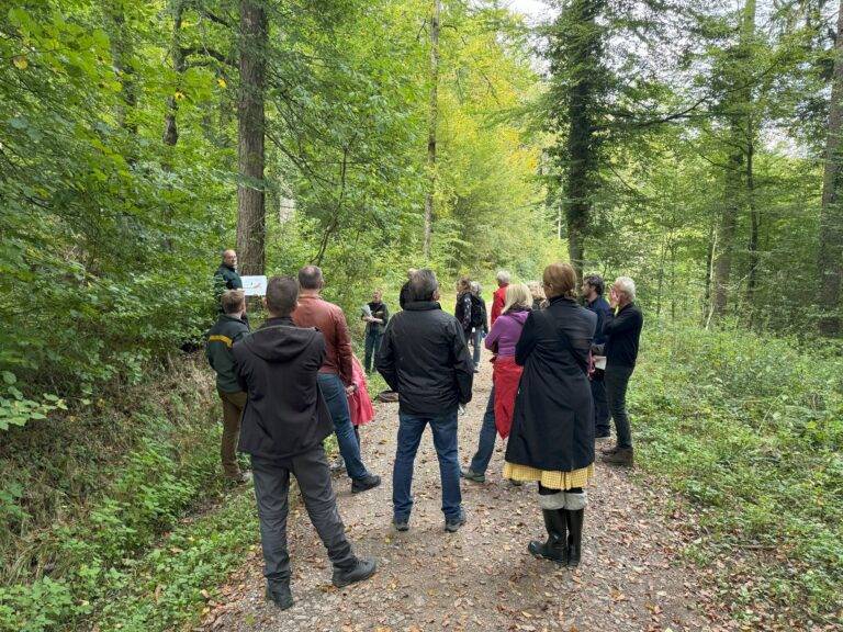 Lörrach: Maßnahmen im Stadtwald zur Klimaanpassung