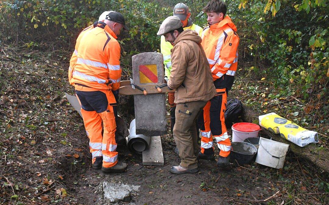 Lörrach: Grenzstein 98 nach Instandsetzung wieder eingesetzt