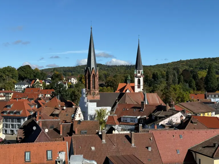 Emmendingen will Haushalt und Finanzen sanieren – Einwohnerversammlung am Mittwoch