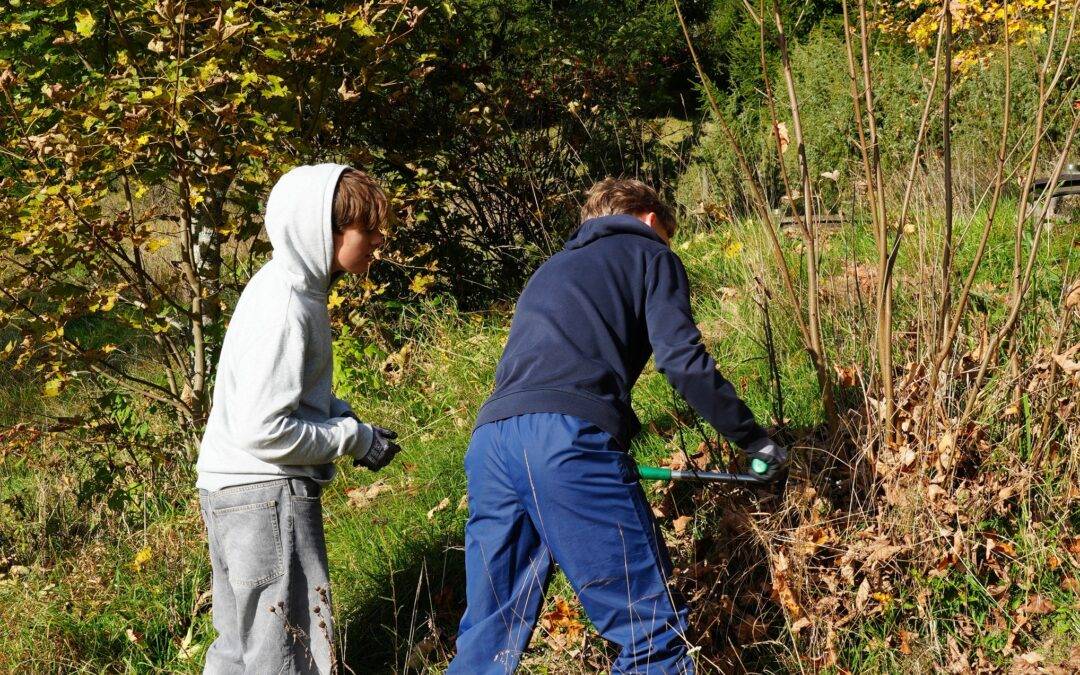 Blasiwald bei Schluchsee: Schüler aus Freiburg pflegen Weide