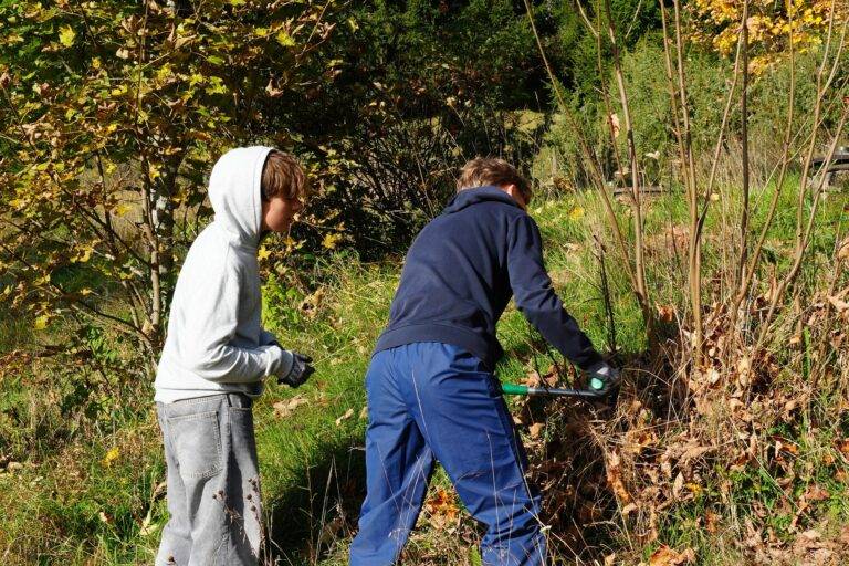 Blasiwald bei Schluchsee: Schüler aus Freiburg pflegen Weide