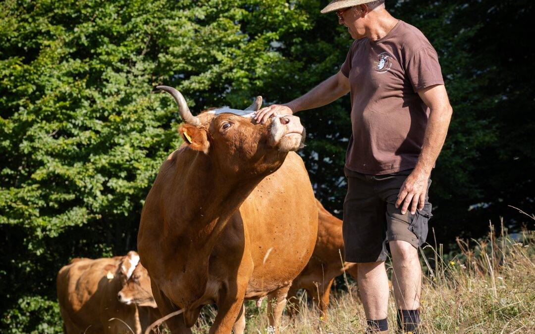 Biologische Vielfalt: Neun Höfe in Südbaden ausgezeichnet