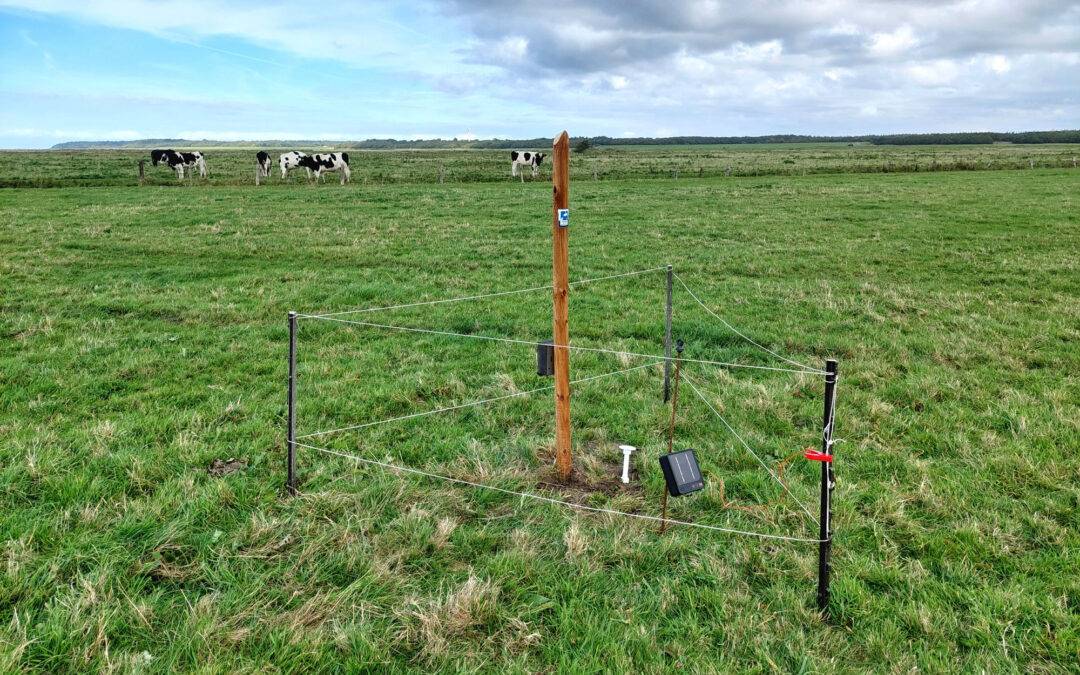KI-Nationalpark startet mit Unterstützung Freiburger Forscher
